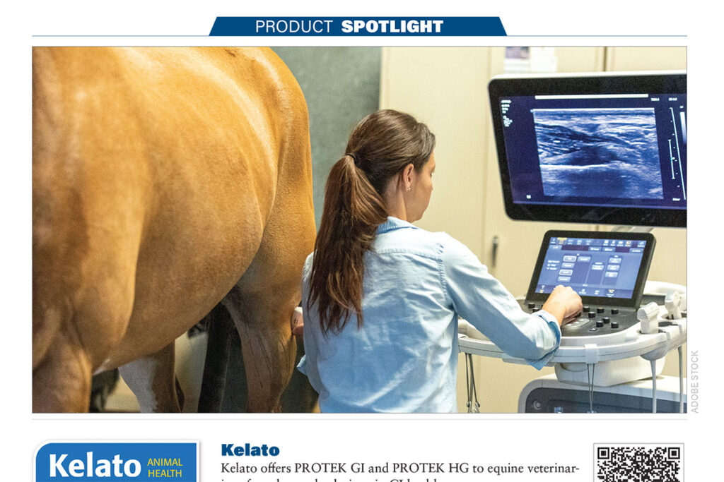 2024 AAEP Preview Product Spotlight