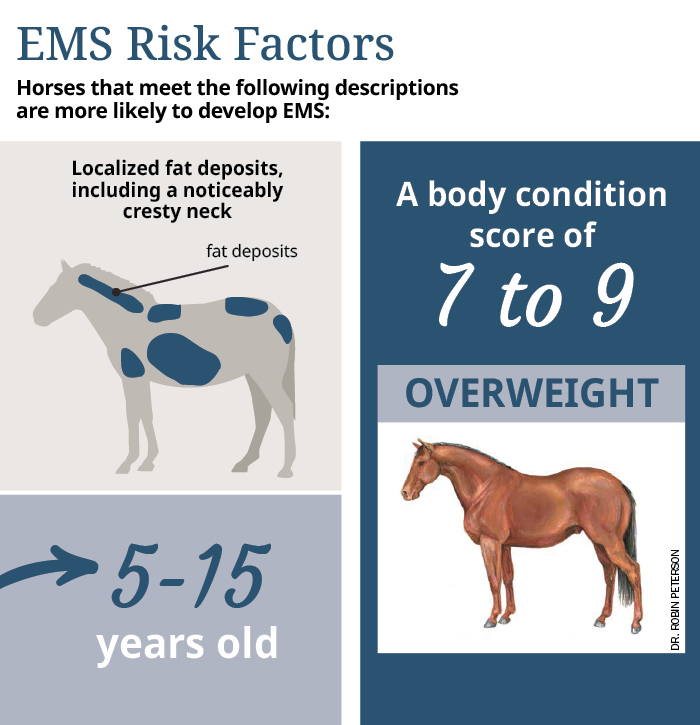 EMS Risk Factors