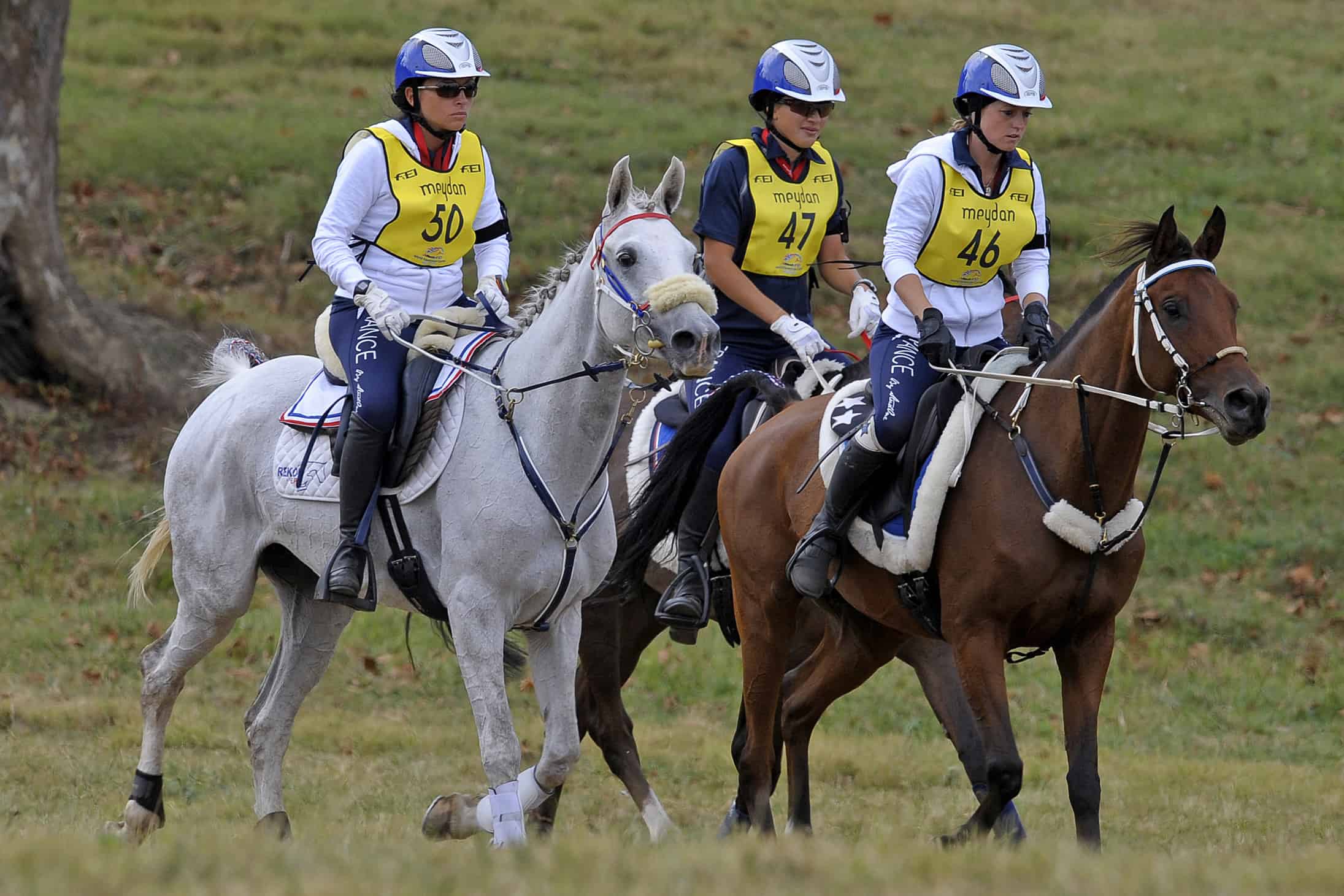 Awesome Antioxidants and How They Help Horses