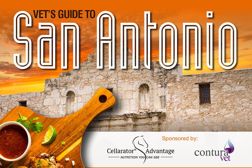 Vet's Guide to San Antonio