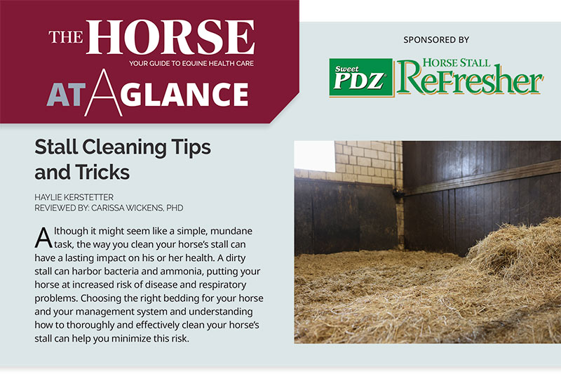 AAG: Stall Cleaning Tips