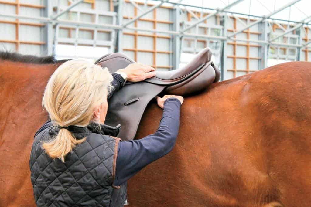 saddle research trust conference; My Saddle Doesn't Fit My Horse...Now What?