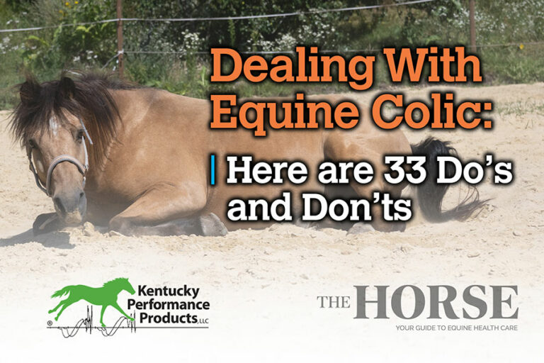 Dealing With Equine Colic