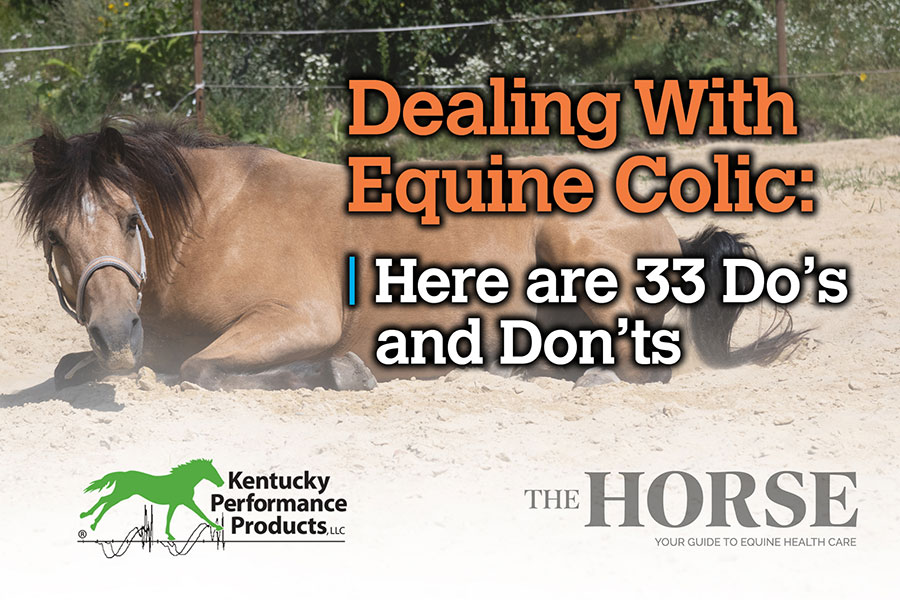 Dealing With Equine Colic