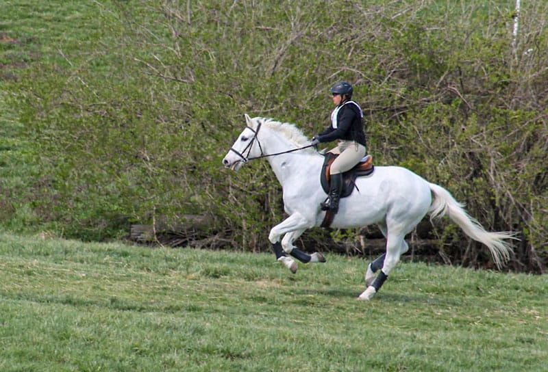 galloping horse