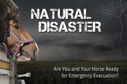 Natural Disaster Interactive