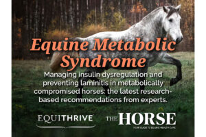 Equine Metabolic Syndrome