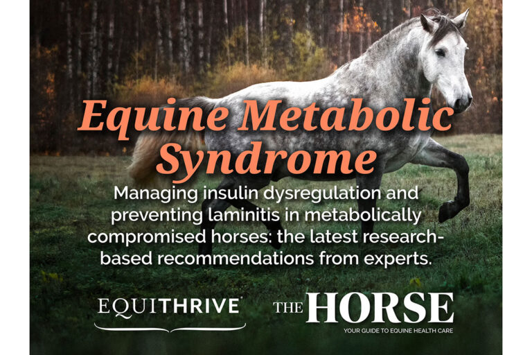 Equine Metabolic Syndrome