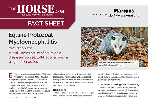 Fact Sheet: EPM