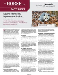 Fact Sheet: EPM