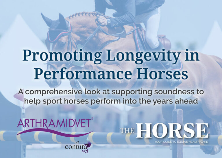 Promoting Longevity in Performance Horses