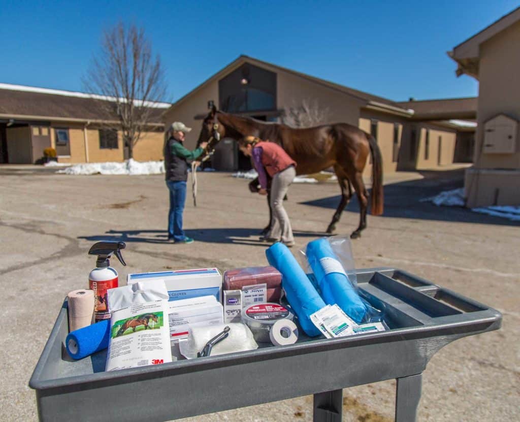 Equine First Aid Kit