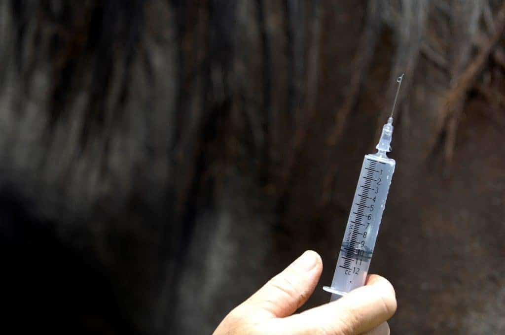Generic Syringe with Fluid