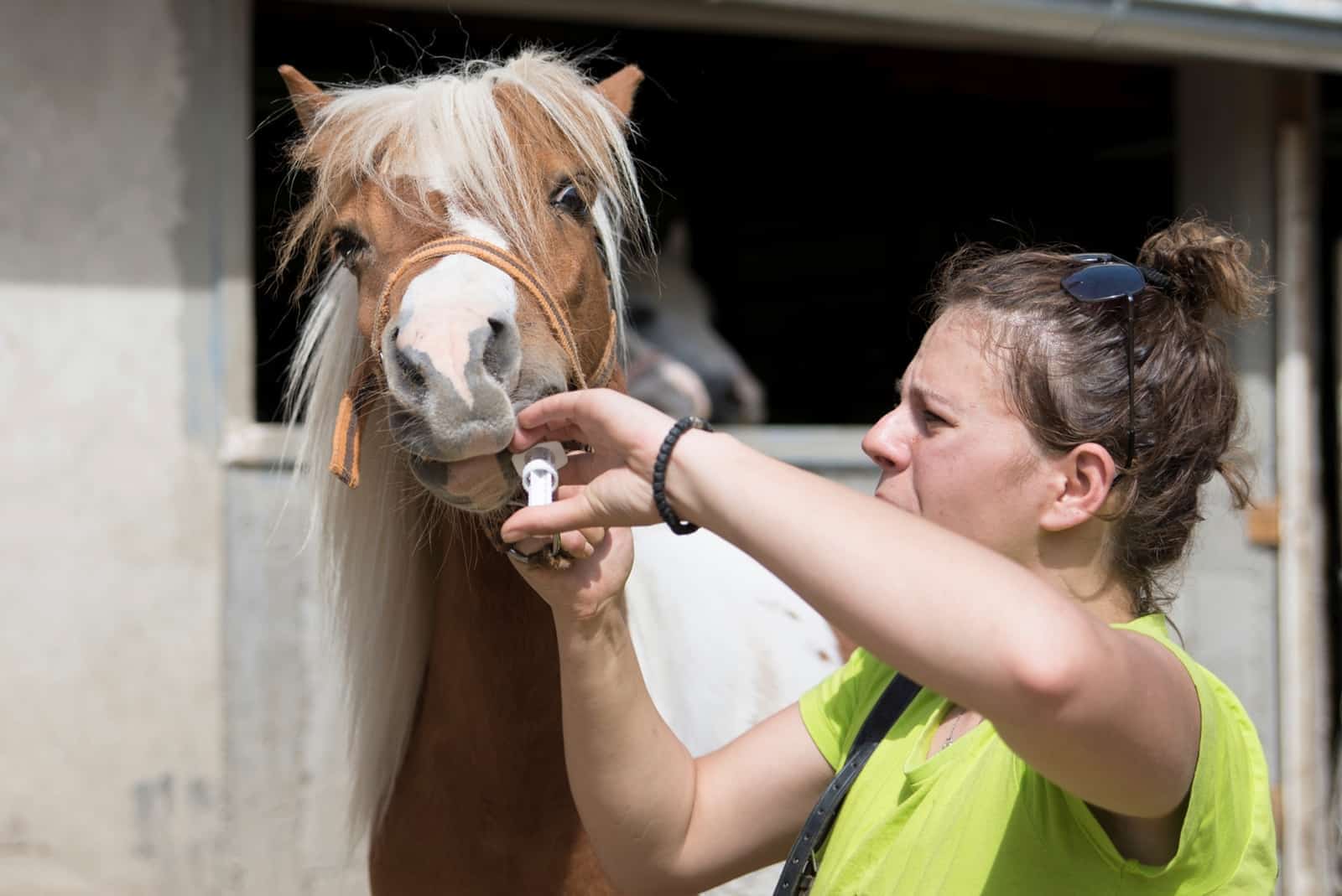 Ivermectin Could be Ineffective Against Some Pinworms