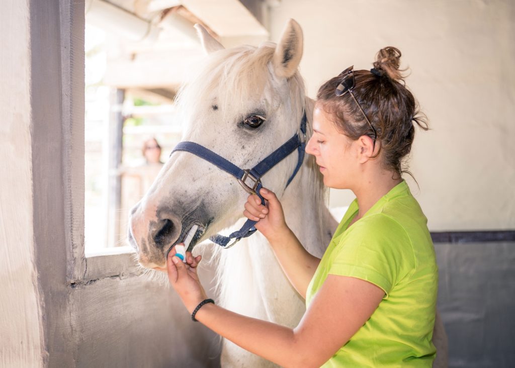 horse parasite control; Can I Maintain My Semi-Retired Horse on an NSAID; equine gastric ulcers; parasites in horses