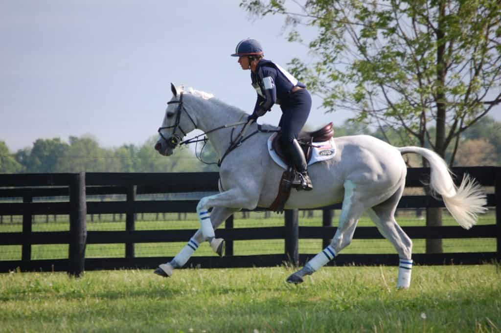 A Look Back at the Feeding of Performance Horses