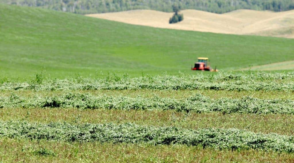 Kentucky Alfalfa and Stored Forages Conference; Producing High-Quality Alfalfa Hay for Horses