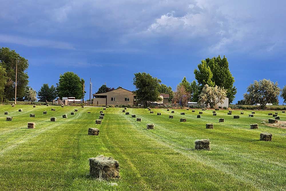 hay bales in field with storm on horizon