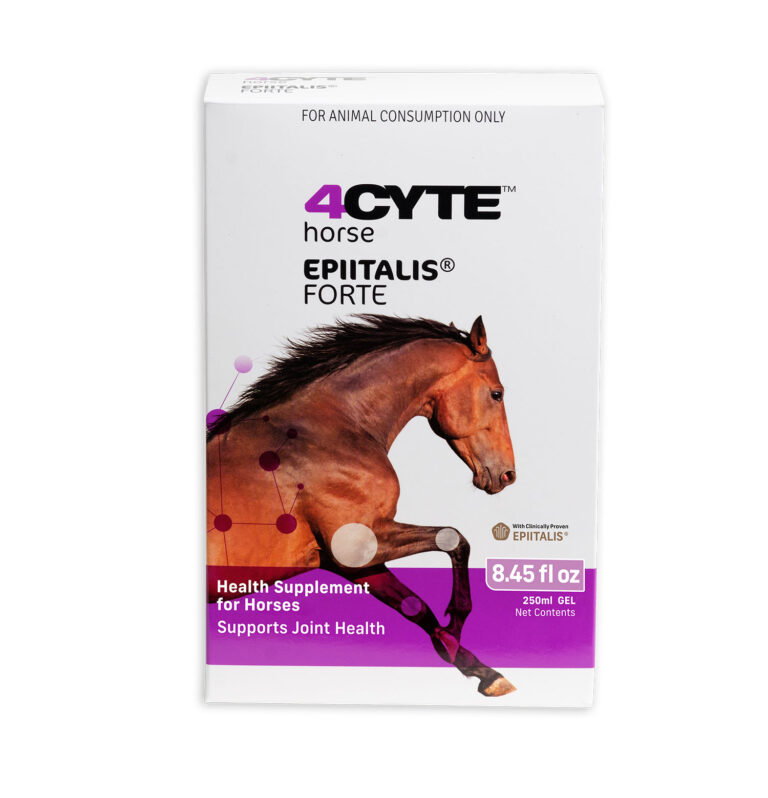 4CYTE Horse - Epitalis Forte