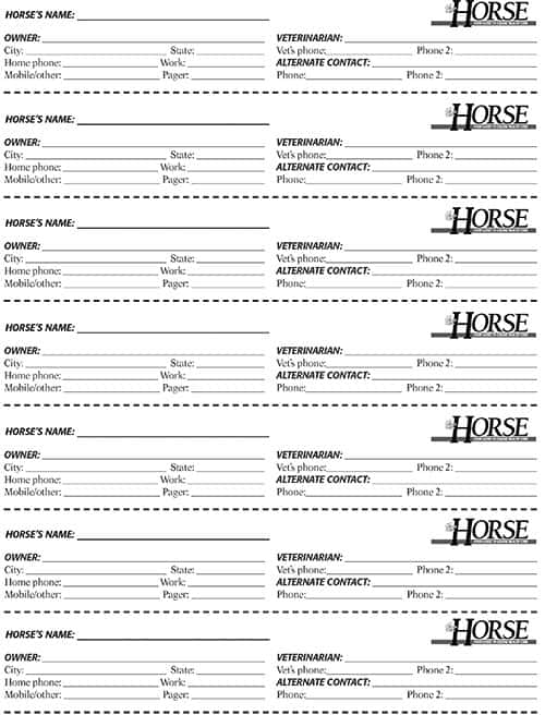 Horse ID Halter Tags
