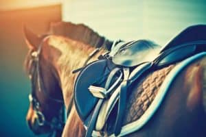 Does Your Horse's Saddle Fit?