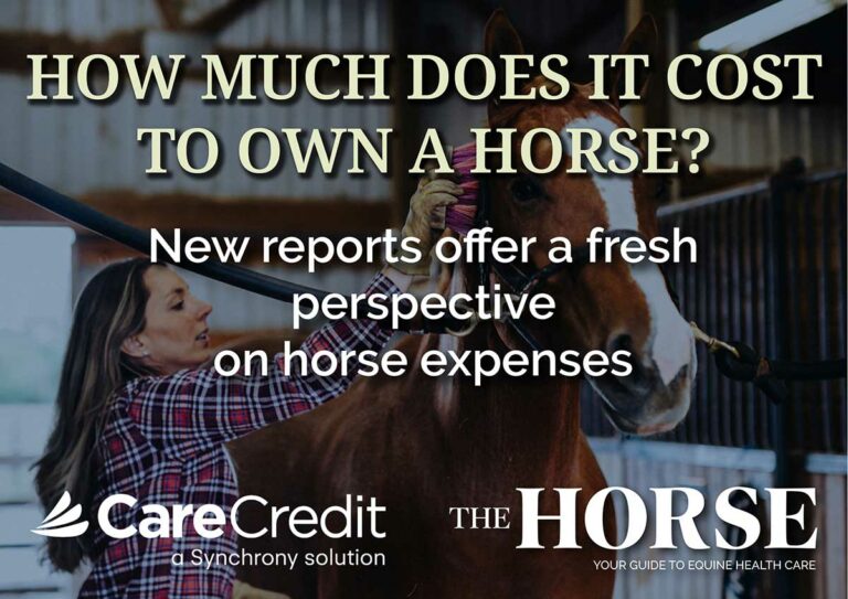 How much does it cost to own a horse?