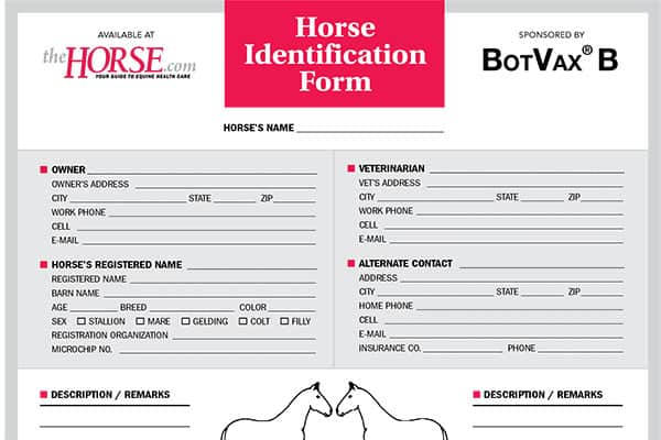 Horse Identification Form
