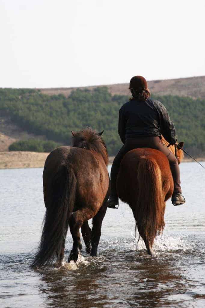 How to Teach a Horse to Cross Water
