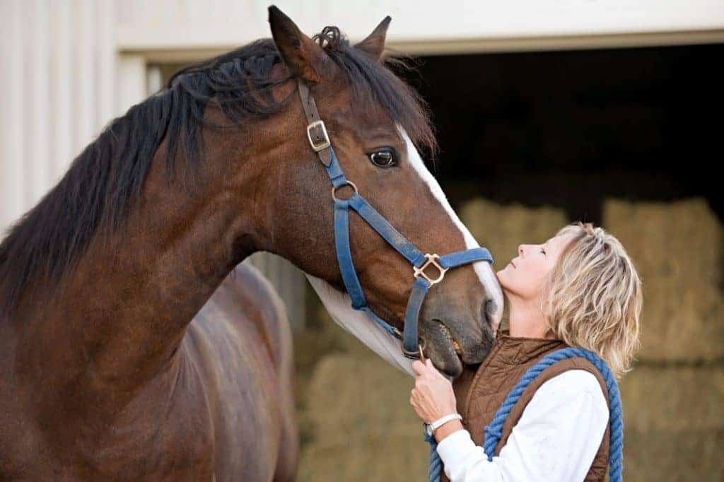 Do Horses Recognize Humans?