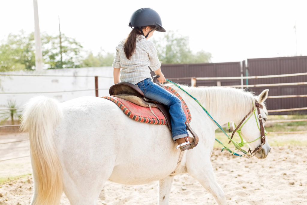 keeping the walk-trot horse sound and fit