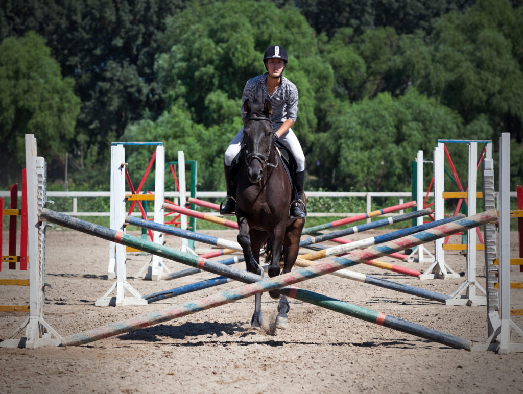 do horses have muscle memory