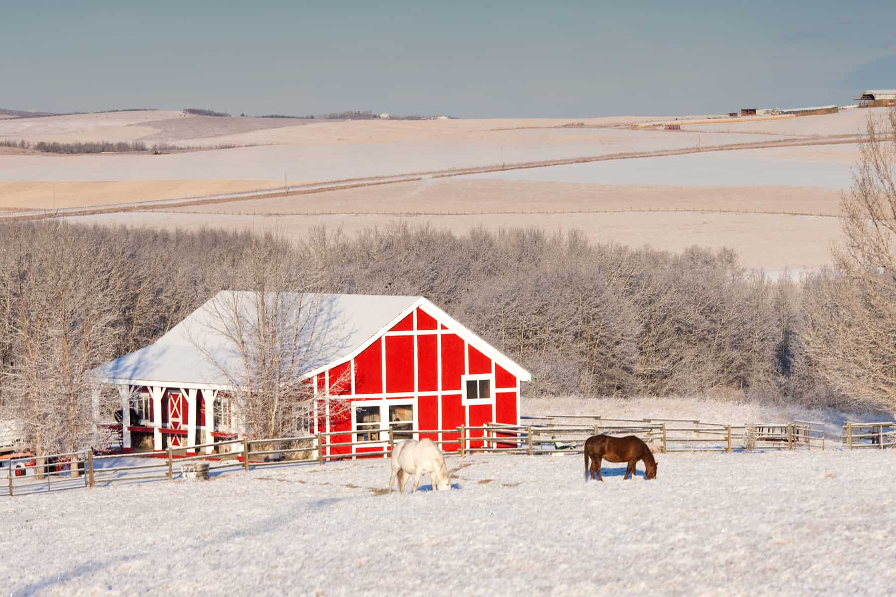 managing horse barns during winter