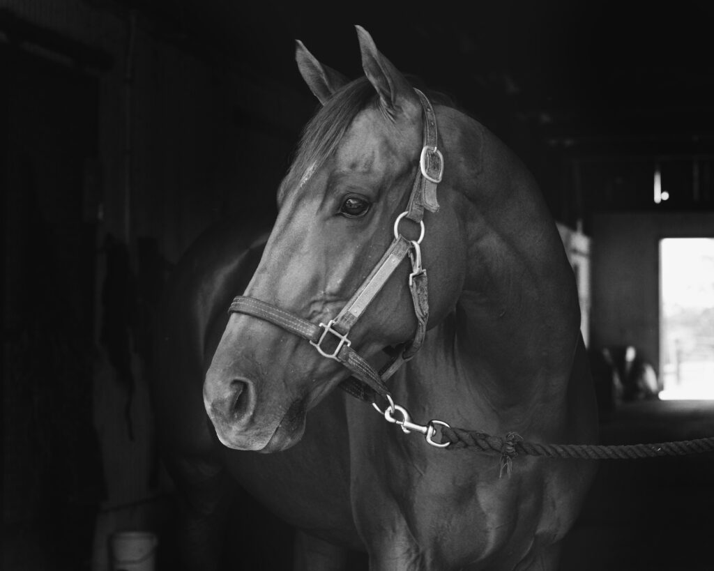 It-Happened-Again-OTTB