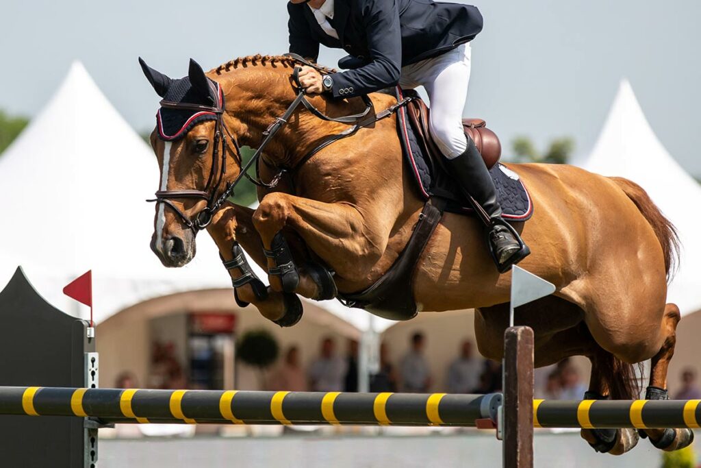 jumping horse