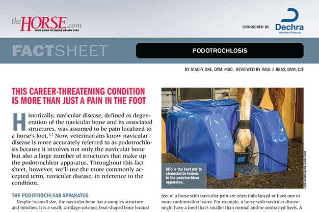 Podotrochlosis, also known as navicular syndrome