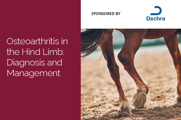 Osteoarthritis in the Hind Limb