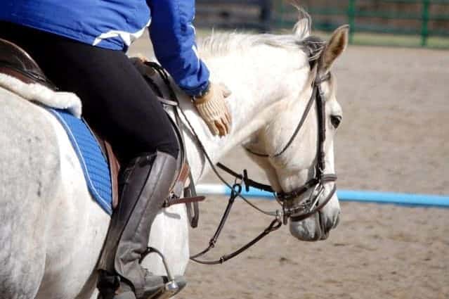 Will Coaxing a Nervous Horse Reinforce Her Nervous Behavior?