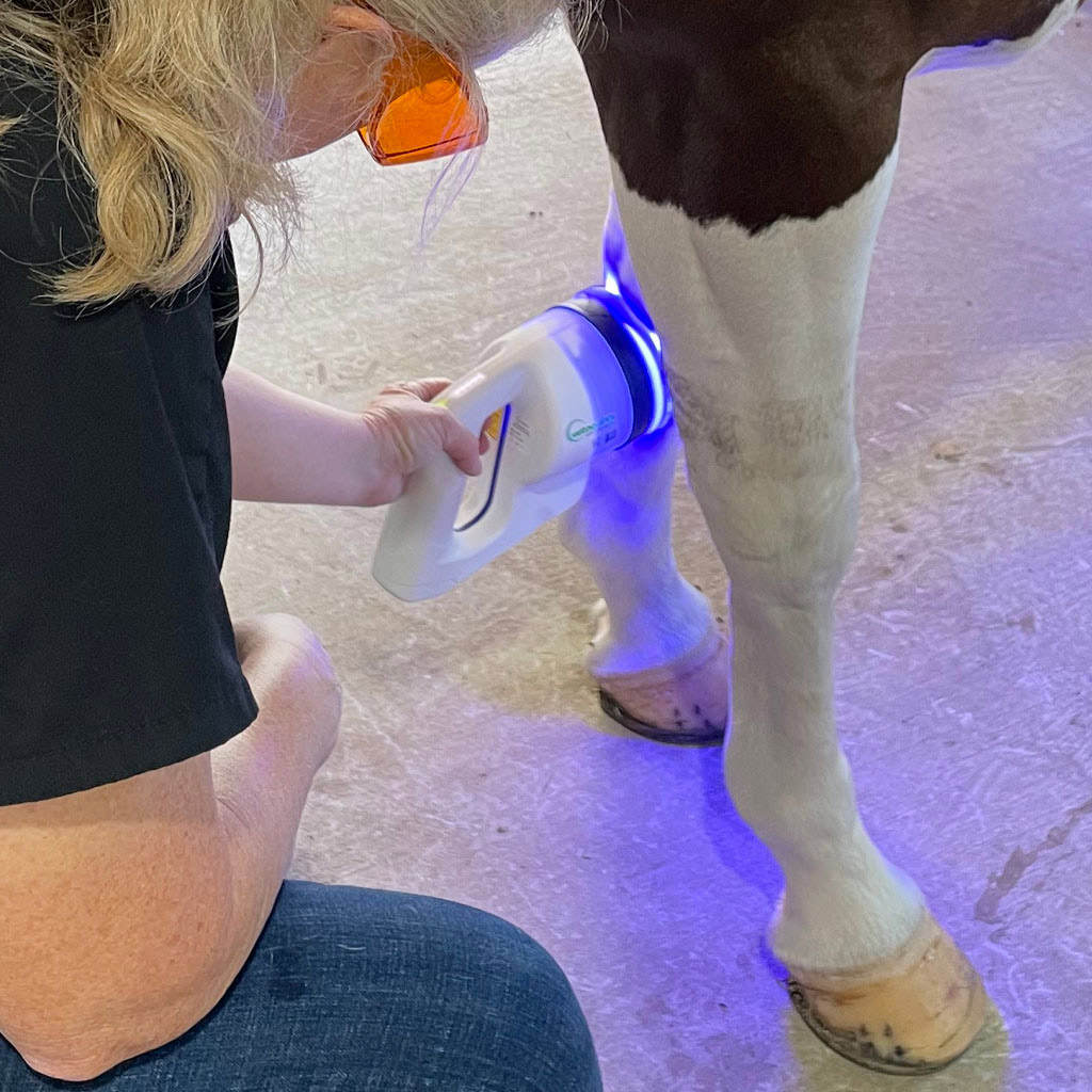 phovia light therapy treatment