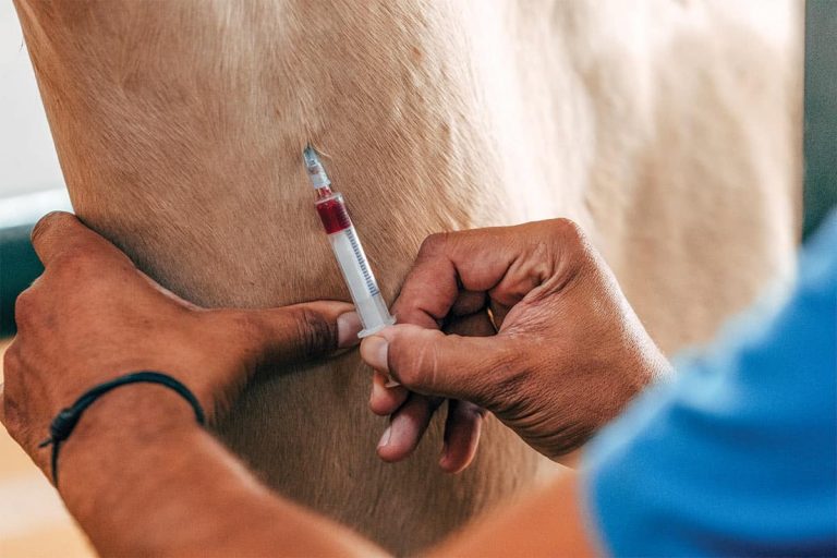PullingBloodforTest-GettyImages-1176631373
