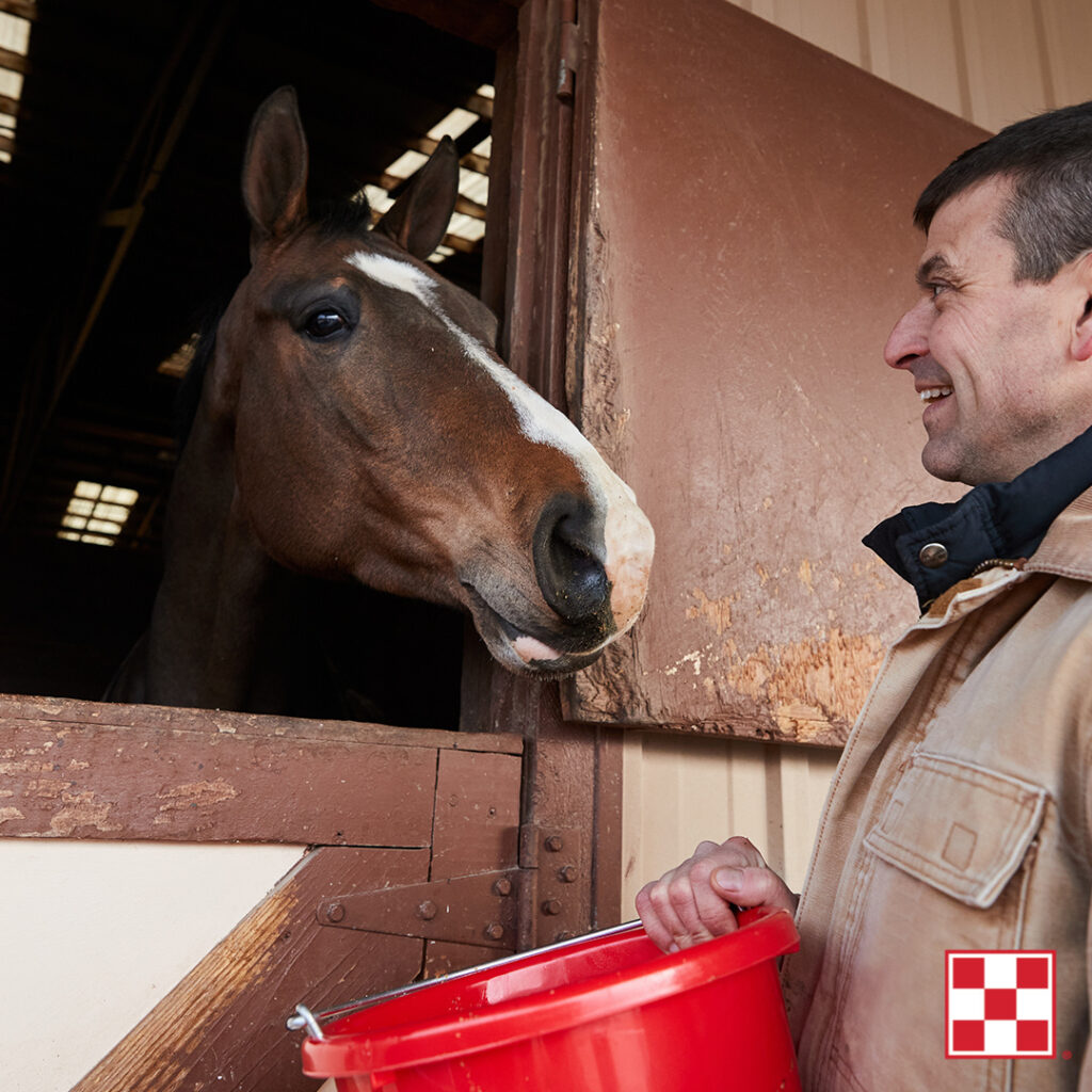 man holding red bucket in front of horse's stall