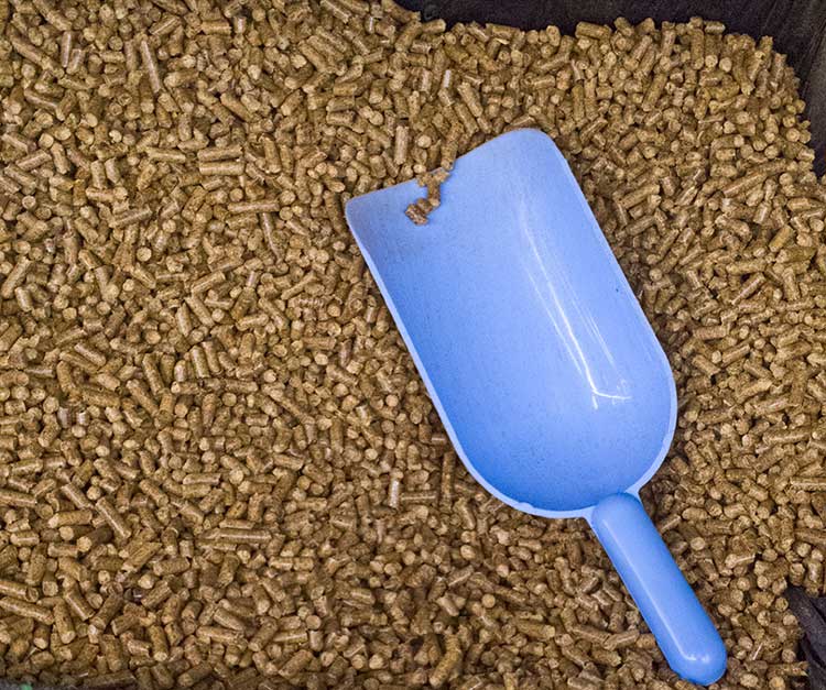 feed scoop