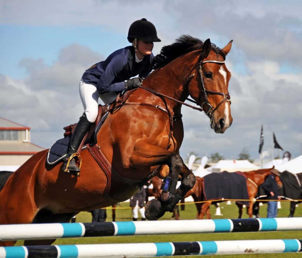 Do Elite Show Jumpers Get the Nutrition They Need?