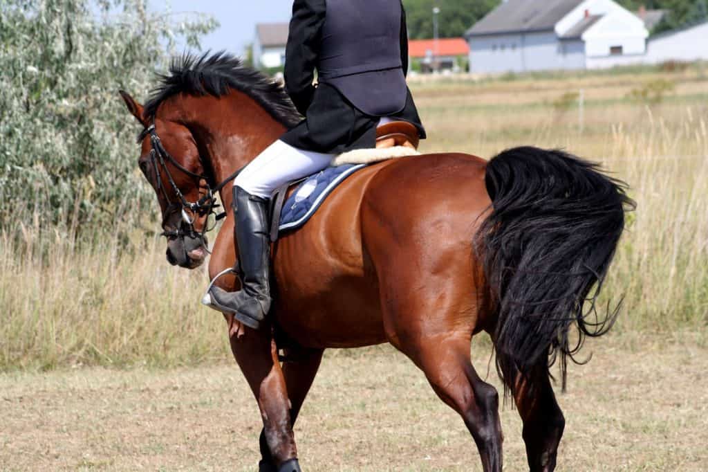 How Does a Slipping Saddle Impact Rider Biomechanics?