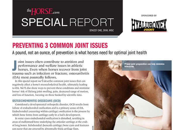 Special Report: Preventing 3 Common Joint Issues