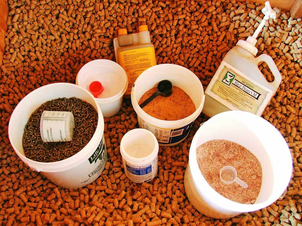 Where Do Horse Owners Get Supplement Advice?