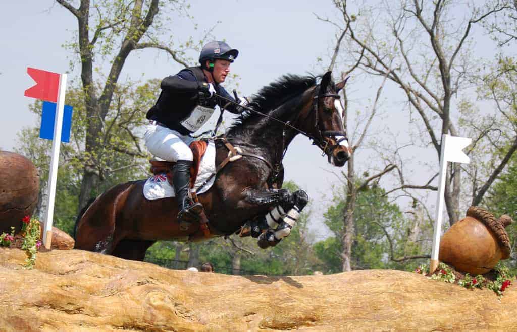 eventing horse