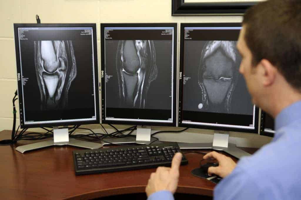 Ohio State to Offer High-Field Equine MRI