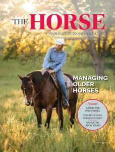 The Horse 2025: Older Horse