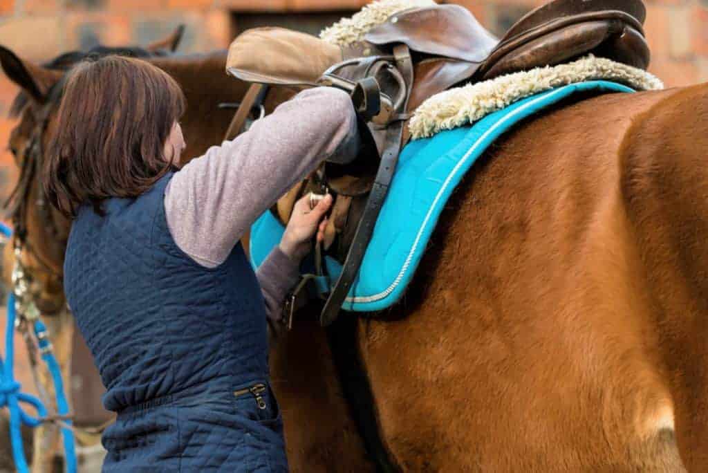 Help for a Girthy Horse