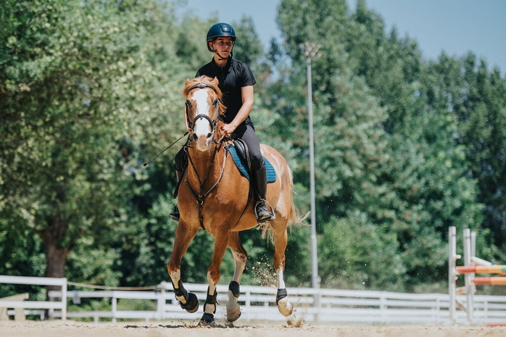 unhappy horse under saddle
